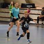 Házenkářský potěr si dal dostaveníčko ve Strakonicích