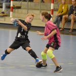 Házenkářský potěr si dal dostaveníčko ve Strakonicích