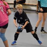 Házenkářský potěr si dal dostaveníčko ve Strakonicích