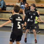 Házenkářský potěr si dal dostaveníčko ve Strakonicích