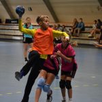 Házenkářský potěr si dal dostaveníčko ve Strakonicích