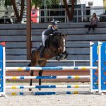 Zemský hřebčinec v Písku představuje… Díl 10. Ředitelka