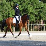 Zemský hřebčinec v Písku představuje… Díl 10. Ředitelka