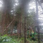 Lesy města Český Krumlov ještě likvidují následky po srpnové bouři