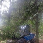 Lesy města Český Krumlov ještě likvidují následky po srpnové bouři