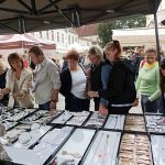 Svatováclavské slavnosti v sobotu oživily centrum Třeboně