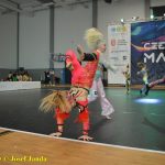 VIDEA: V Táboře se utkali tanečníci v hip hopu a v disco dance