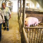 Školní statek otevřel své brány, k vidění byl i křest hříběte