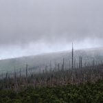 VÝLETY: Po hřebenech přes tři šumavské vrcholy až k Plešnému jezeru