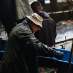 Podkostelní rybník v Putimi vydal své bohatství