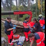 Na muže padl v lese u Dražejova strom. I přes mnohočetná poranění si zvládl zavolat pomoc