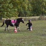 Poslední vyjížďka na koních završila jezdeckou sezonu