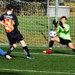 Strakoničtí žáci U15 se proti Táborsku nedočkali ani čestného gólu