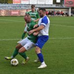 Junior nad Roudným vedl, ale nakonec zachraňoval remízu