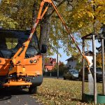 Odborníci chtějí zjistit, jaký mají používané způsoby závlahy vliv na růst stromů