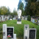 V Českých Budějovicích pokračuje obnova válečných hrobů