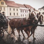 Pískem se vydala Hubertova jízda