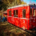 VIDEO: Nejkratší lokálka na světě? Milovník vláčků si na zahradě v Blatné staví obří model železnice