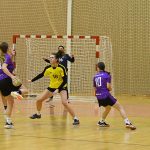 Házenkářky Lokomotivy přehrály Kobylisy