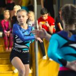VIDEO: Milevští sokolové doma vybojovali šestnáct medailí