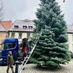 Vánoční strom už dorazil i na prachatické náměstí