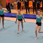 VIDEO: Malý TeamGym zaplnil píseckou sportovní halu