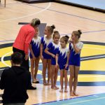 VIDEO: Malý TeamGym zaplnil píseckou sportovní halu