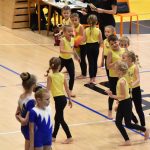 VIDEO: Malý TeamGym zaplnil píseckou sportovní halu