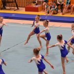VIDEO: Malý TeamGym zaplnil píseckou sportovní halu