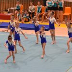 VIDEO: Malý TeamGym zaplnil píseckou sportovní halu