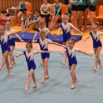 VIDEO: Malý TeamGym zaplnil píseckou sportovní halu