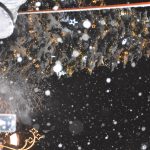V Sezimově Ústí zahajovaly advent davy lidí. S gospely i Jankem Ledeckým