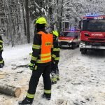 U Nových Hradů zapadl autobus s japonskými turisty. Na Táborsku se převrátila cisterna s mlékem