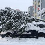 U Nových Hradů zapadl autobus s japonskými turisty. Na Táborsku se převrátila cisterna s mlékem