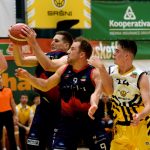 VIDEO: Písek neměl svůj den! V sršním hnízdě úřadovalo Brno