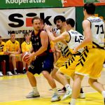 VIDEO: Písek neměl svůj den! V sršním hnízdě úřadovalo Brno