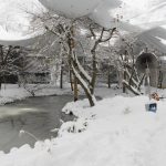 Zoo Hluboká bude do odvolání uzavřená. Sníh poškodil voliéry, někteří ptáci uletěli