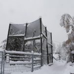 Zoo Hluboká bude do odvolání uzavřená. Sníh poškodil voliéry, někteří ptáci uletěli