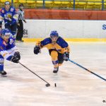 VIDEO: Domácí trápení Králů završila prohra s posledními Řisuty