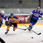 VIDEO: Domácí trápení Králů završila prohra s posledními Řisuty