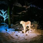 Vánočně nasvícená Zoo Hluboká