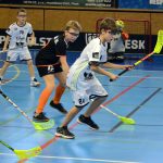 Florbalový triumf v Milevsku: Draci ani Rytíři neprohráli