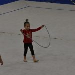 Gymnastky RG Proactive Milevsko měly vánoční besídku