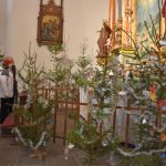 V Rybově mši v táborském děkanském kostele měl premiéru čtrnáctiletý varhaník Štěpán Sova