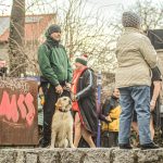 Otužilci ve Strakonicích oslavili Nový rok v Otavě pod pivovarem
