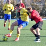 Fotbalisté Písku sehráli s Táborskem důstojnou partii