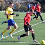 Fotbalisté Písku sehráli s Táborskem důstojnou partii