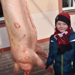 Zabijačkové dobroty se na školních vepřových hodech v Táboře prodávaly ostošest