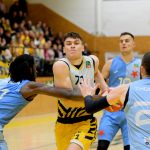 Sršni proti sešívkám nezaváhali! Výhru řídil 33 body Martin Svoboda