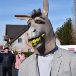 Planá nad Lužnicí ožila masopustem